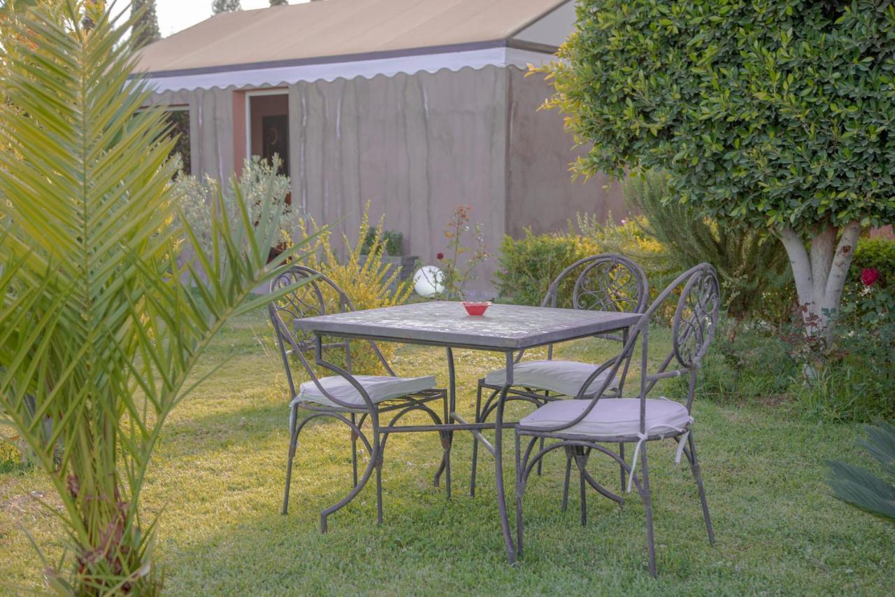Jnanat Aicha Guesthouse Wawizelte Ngoại thất bức ảnh